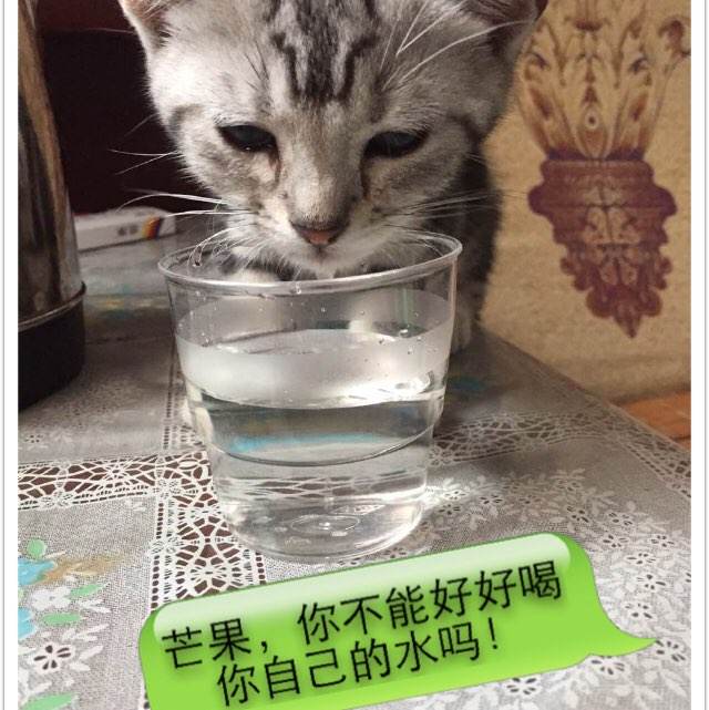 三重中京大学酒店管理毕业证